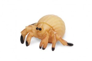 Figurine mini Bernard L'Hermite